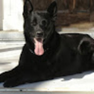 Meet your Posher, Lorna & marty